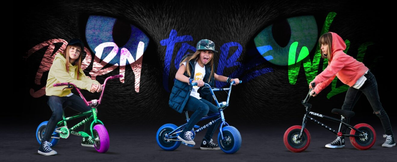 Wildcat Mini BMX