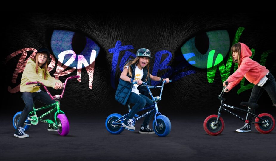 Wildcat Mini BMX
